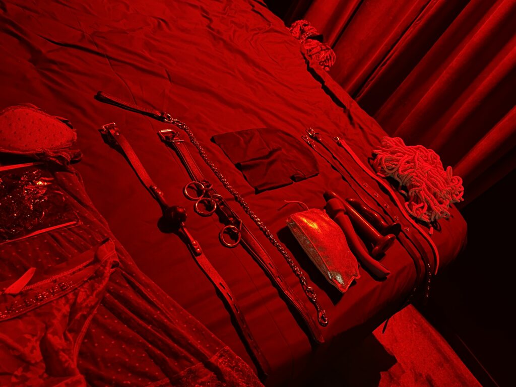 The second Cannes Dungeon with my toys laid out ready for me to get down to The Handy sex toy review.