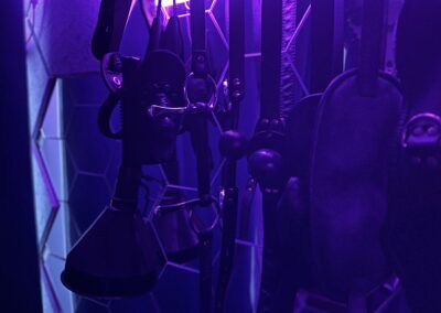 BDSM toys