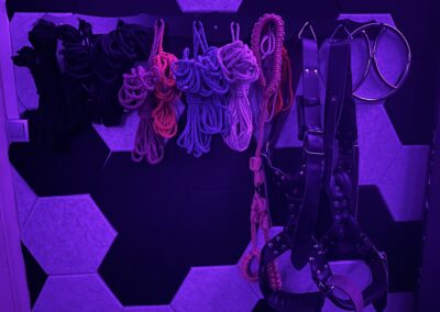 Shibari and western bondage
