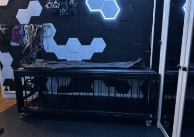 Cage and treatment table