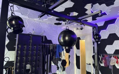 Suspension Bondage Rig of Studio Xème